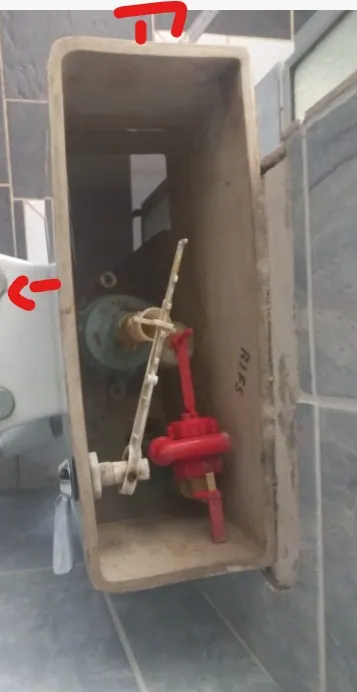 Local Glenvista plumbers from Plumb A Nator Local Glenvista plumbers from Plumb A Nator