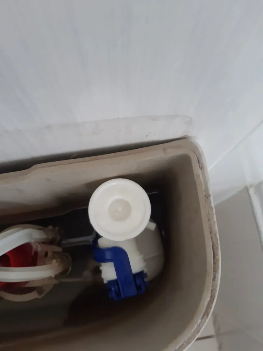 Local Lombardy East plumbers from Plumb A Nator