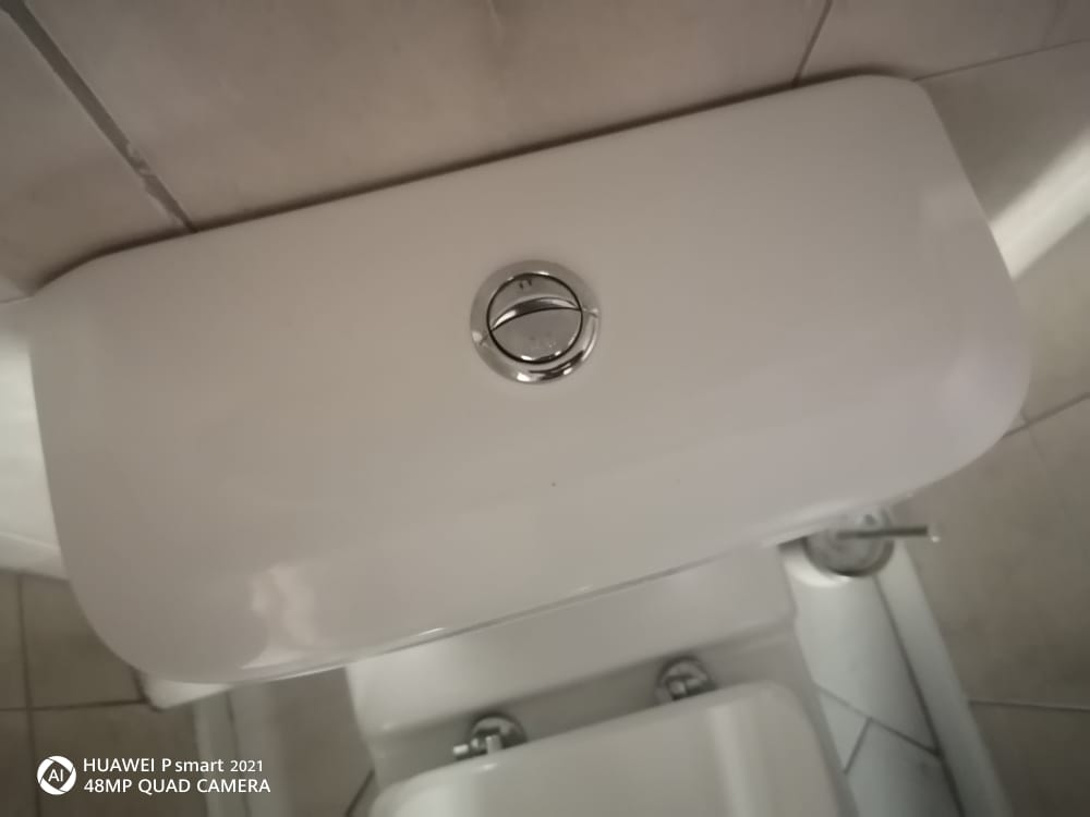 Local Lynnwood plumbers from Plumb A Nator