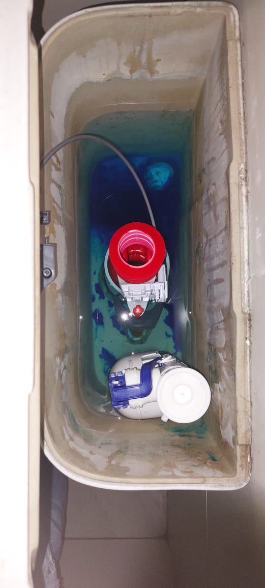 Local Kenilworth plumbers from Plumb A Nator
