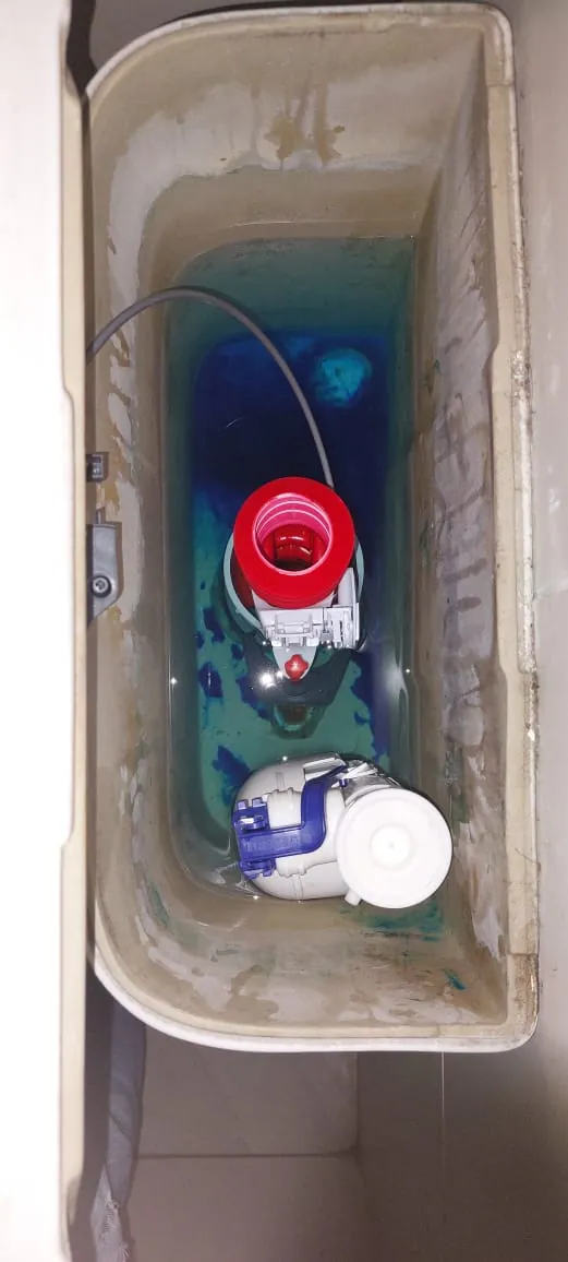 Local Marshalltown plumbers from Plumb A Nator