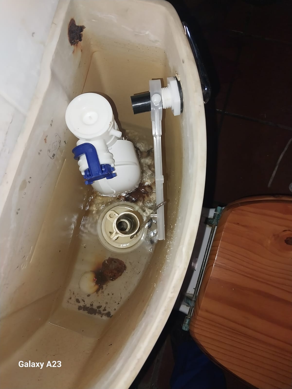 Local Orange Grove plumbers from Plumb A Nator