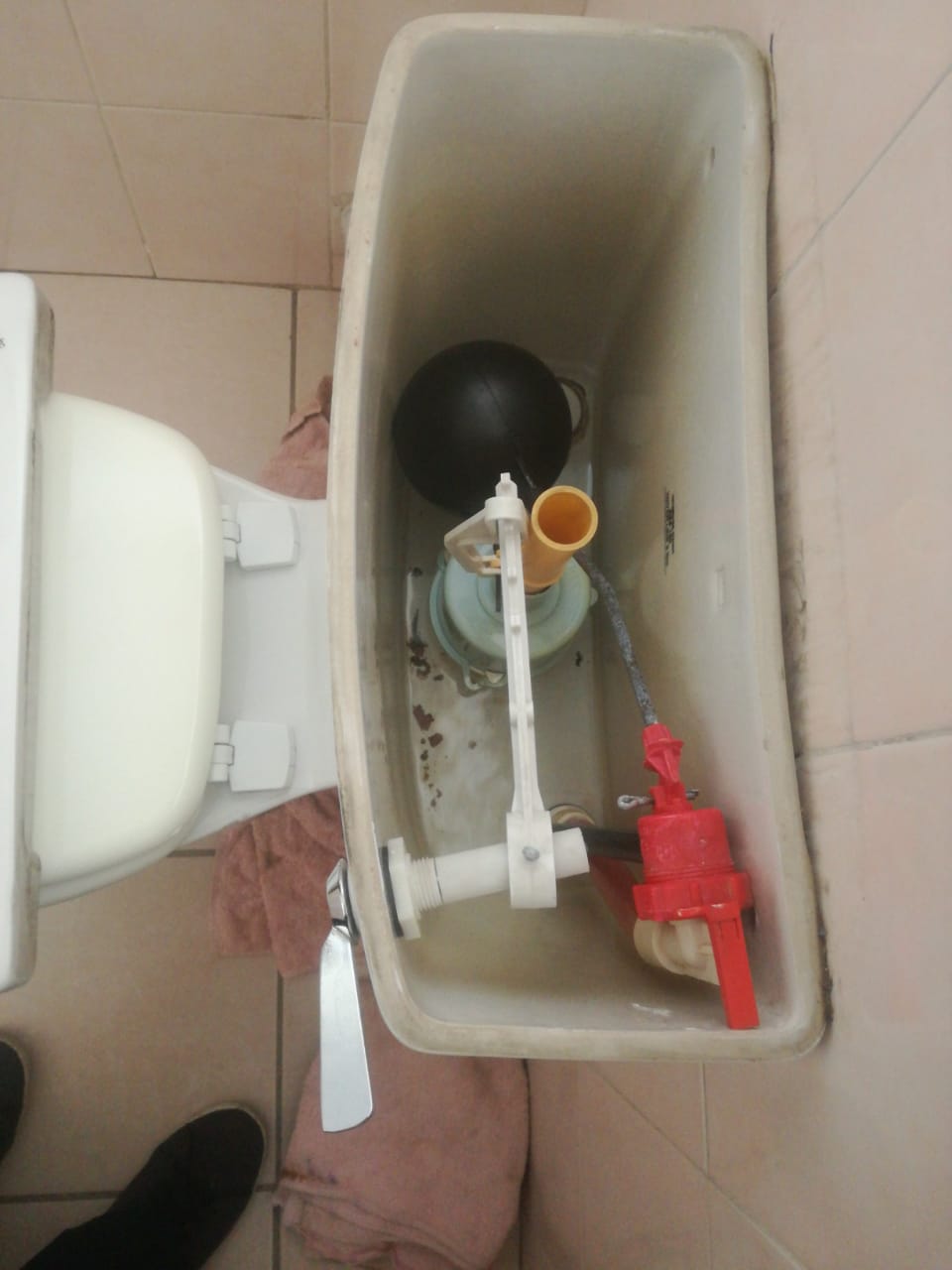 Local Parkmore plumbers from Plumb A Nator