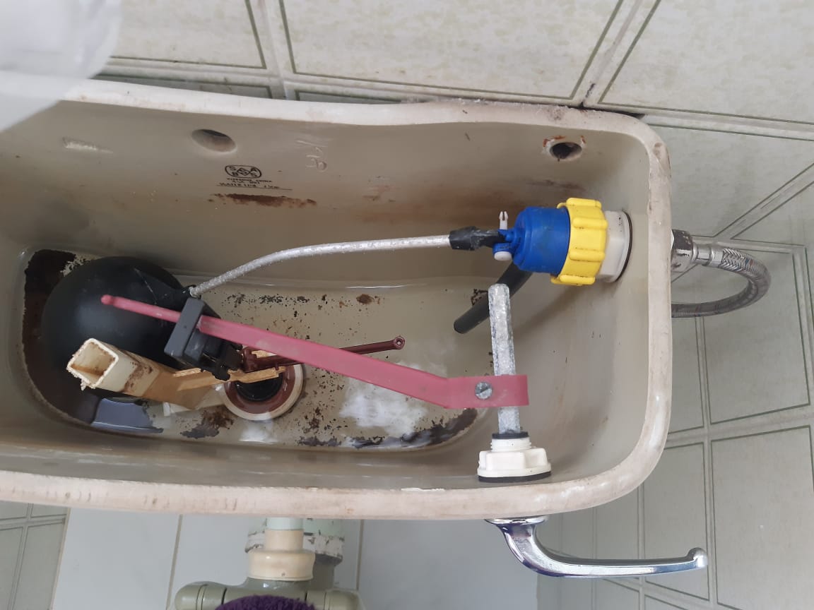 Local plumbers from Plumb A Nator
