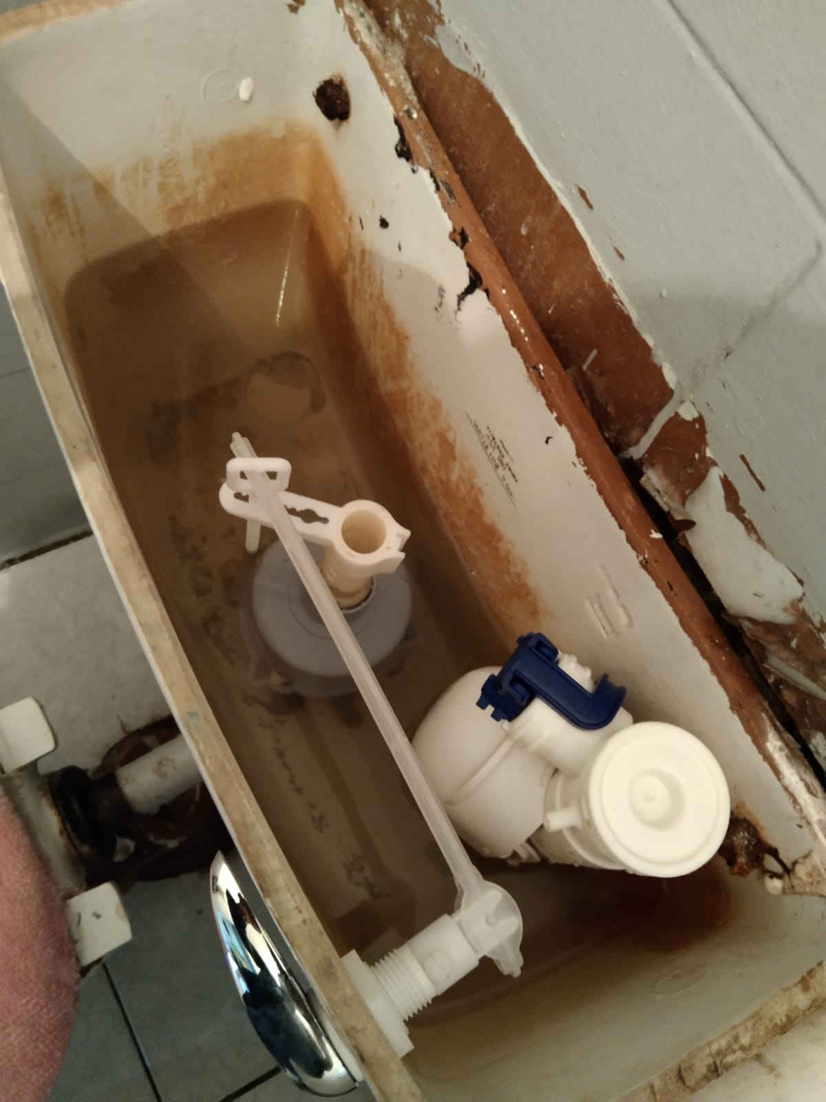 Local plumbers from Plumb A Nator
