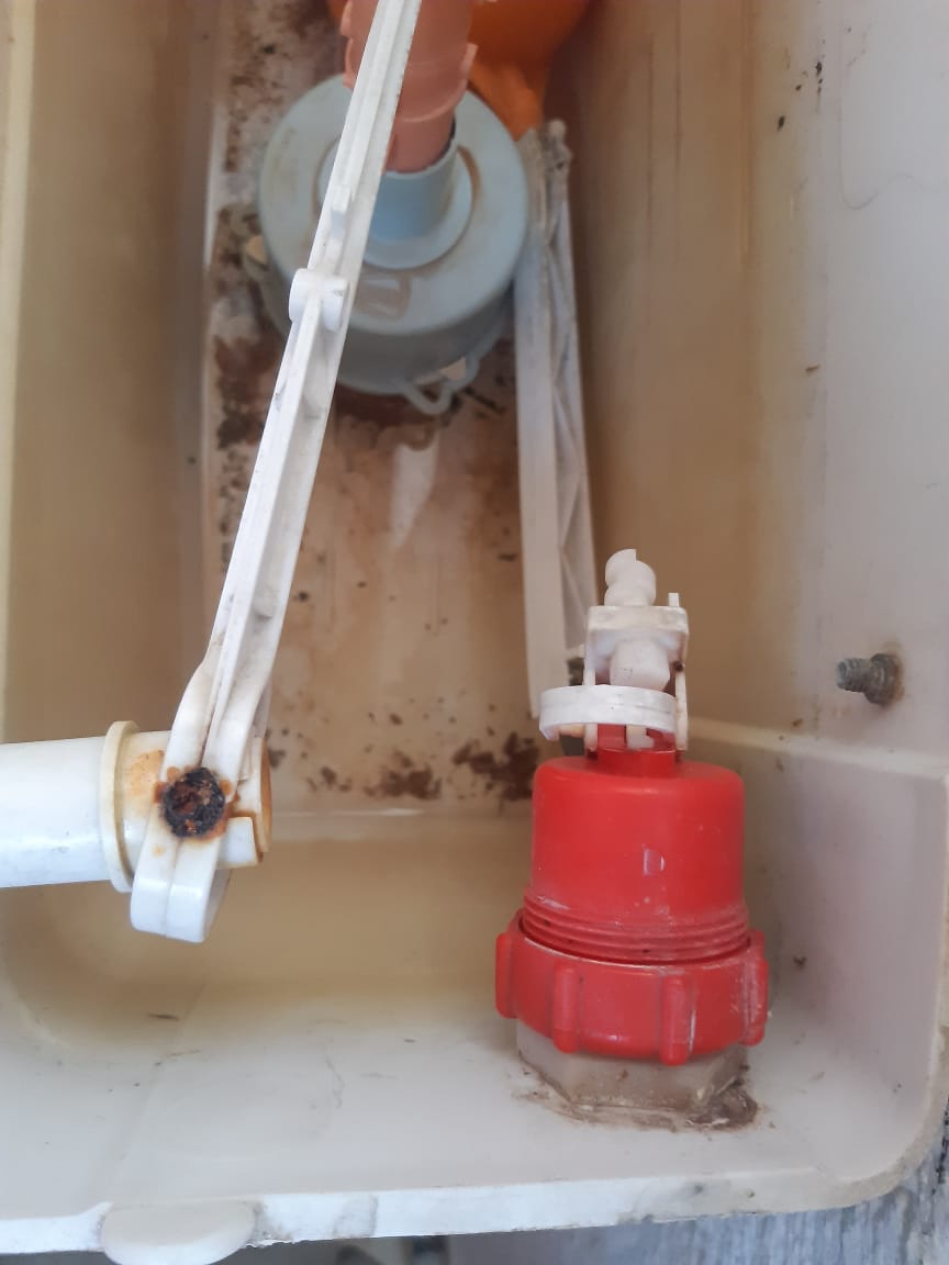 Local plumbers from Plumb A Nator