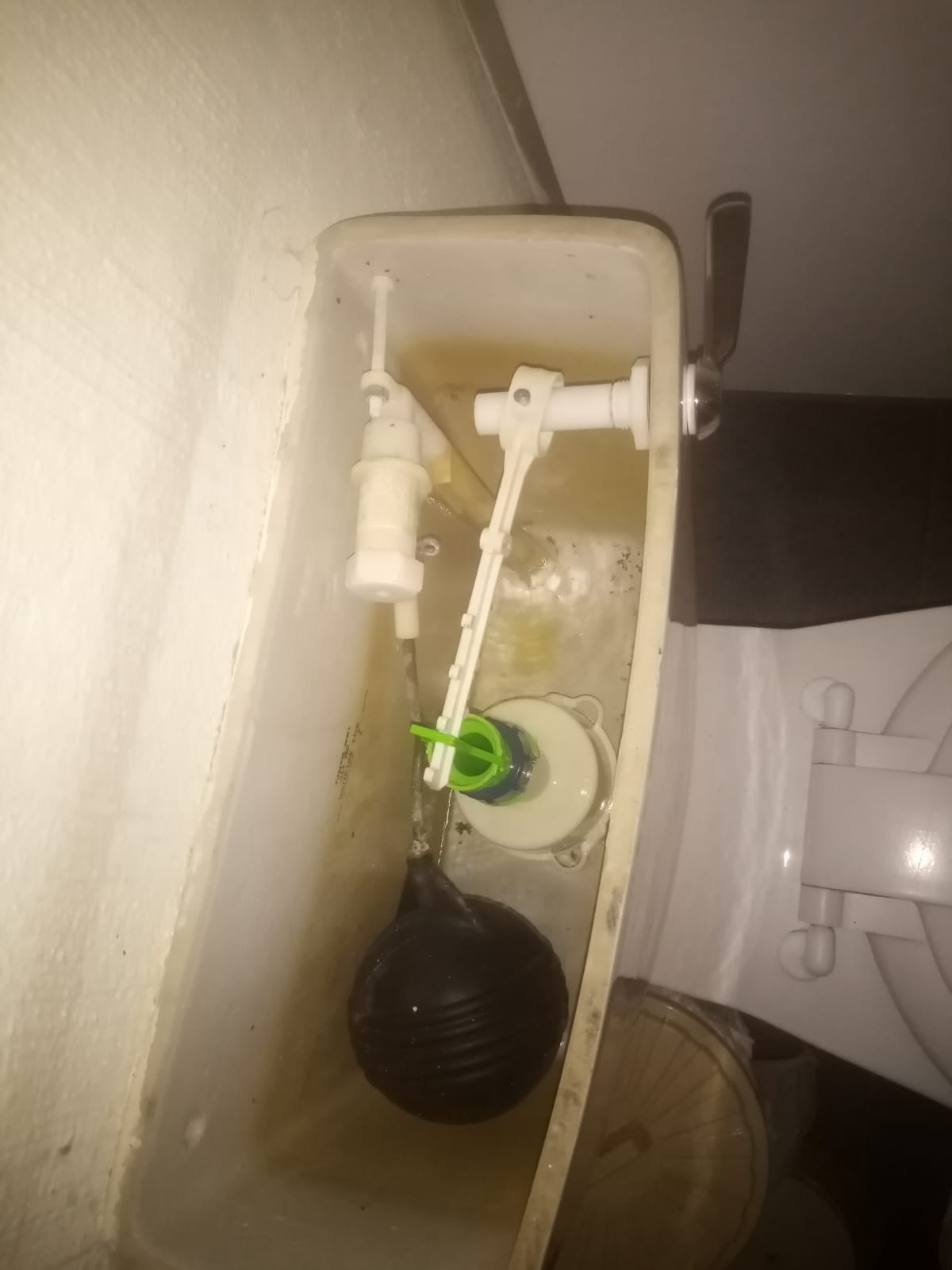 Local plumbers from Plumb A Nator