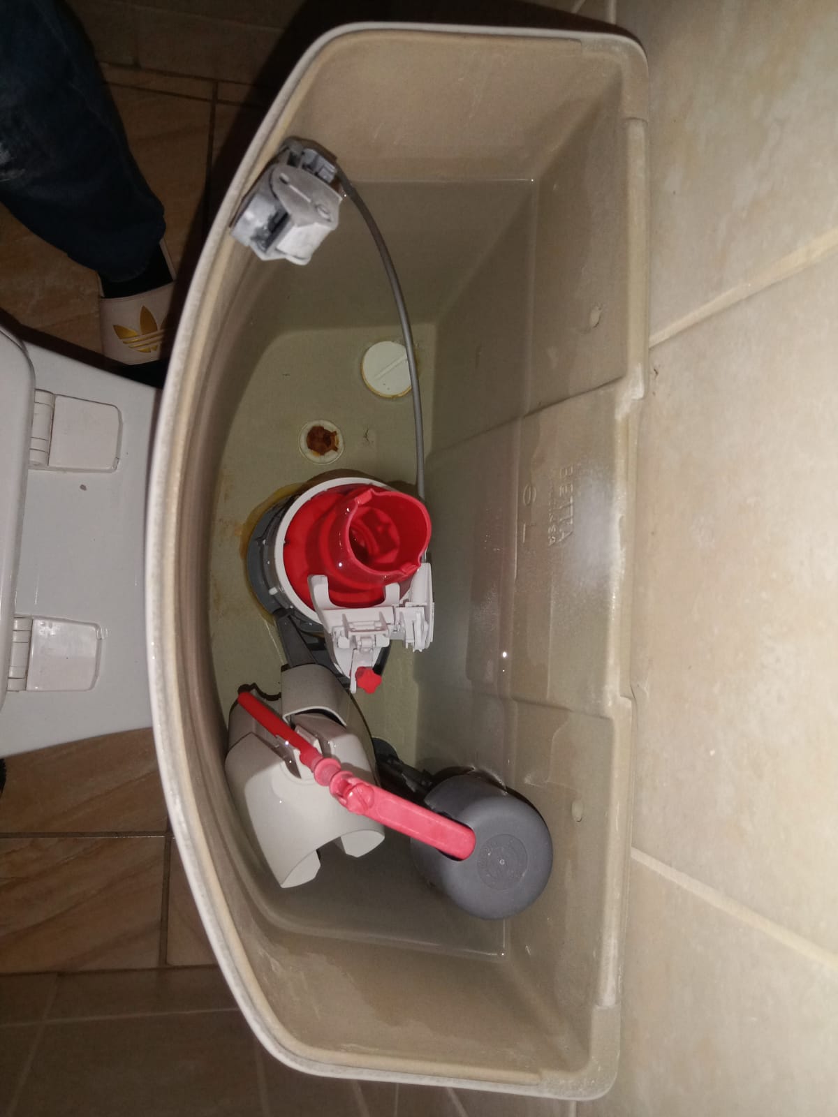 Local Waltloo plumbers from Plumb A Nator