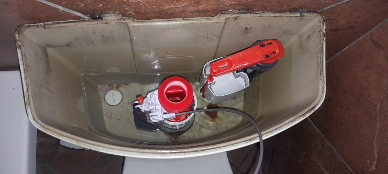 Local Waverly plumbers from Plumb A Nator