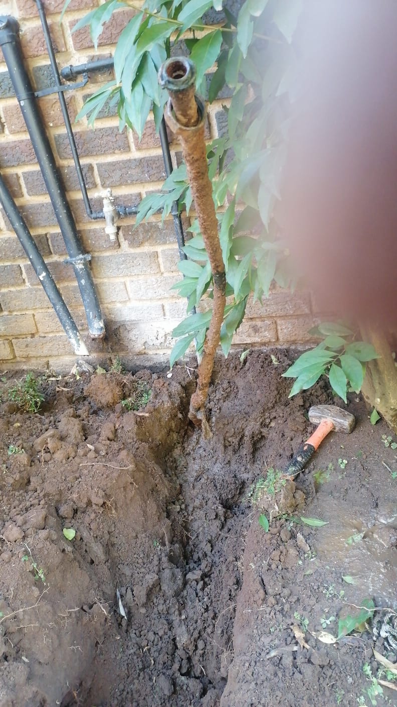 Queenswood emergency plumber response