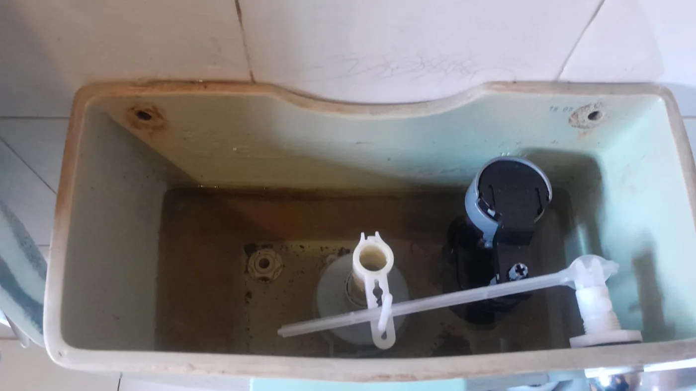 Toilet cistern mechanism inspected during plumbing repairs in Cresta