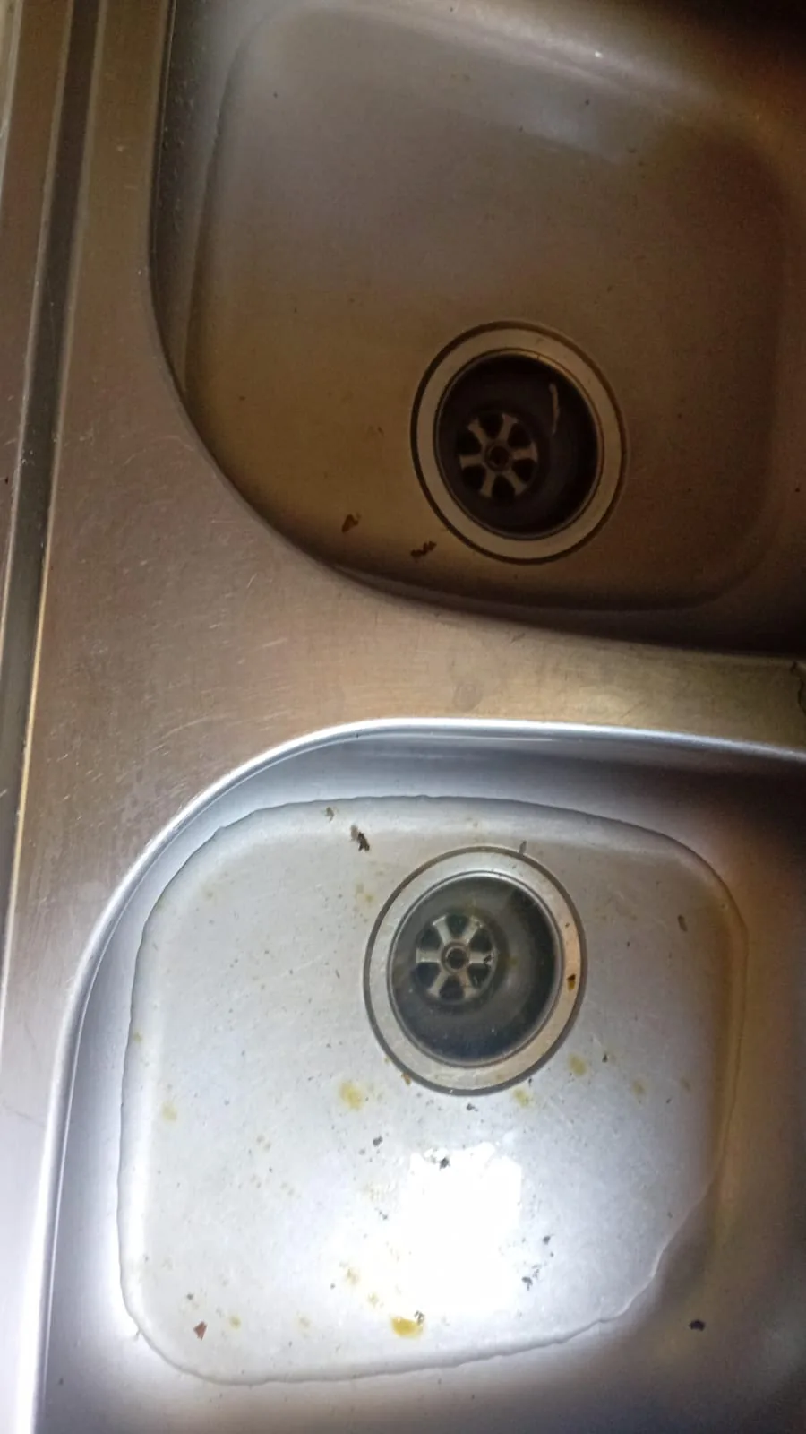 Water Saving Tips Water Saving Tips