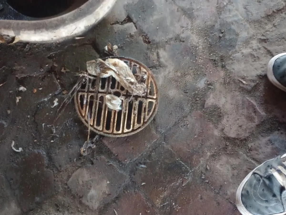 Close-up of completed plumbing repair work