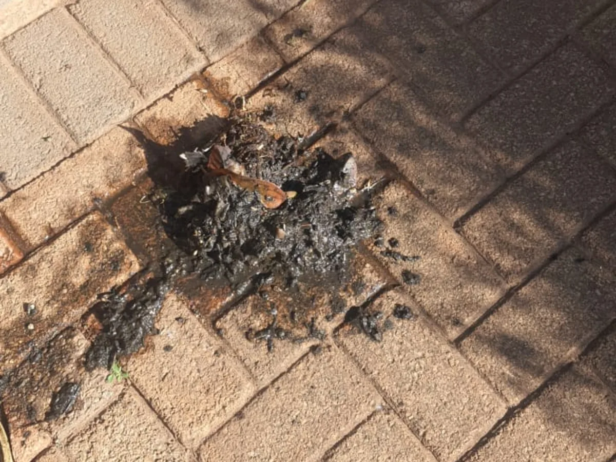 Close-up of completed plumbing repair work