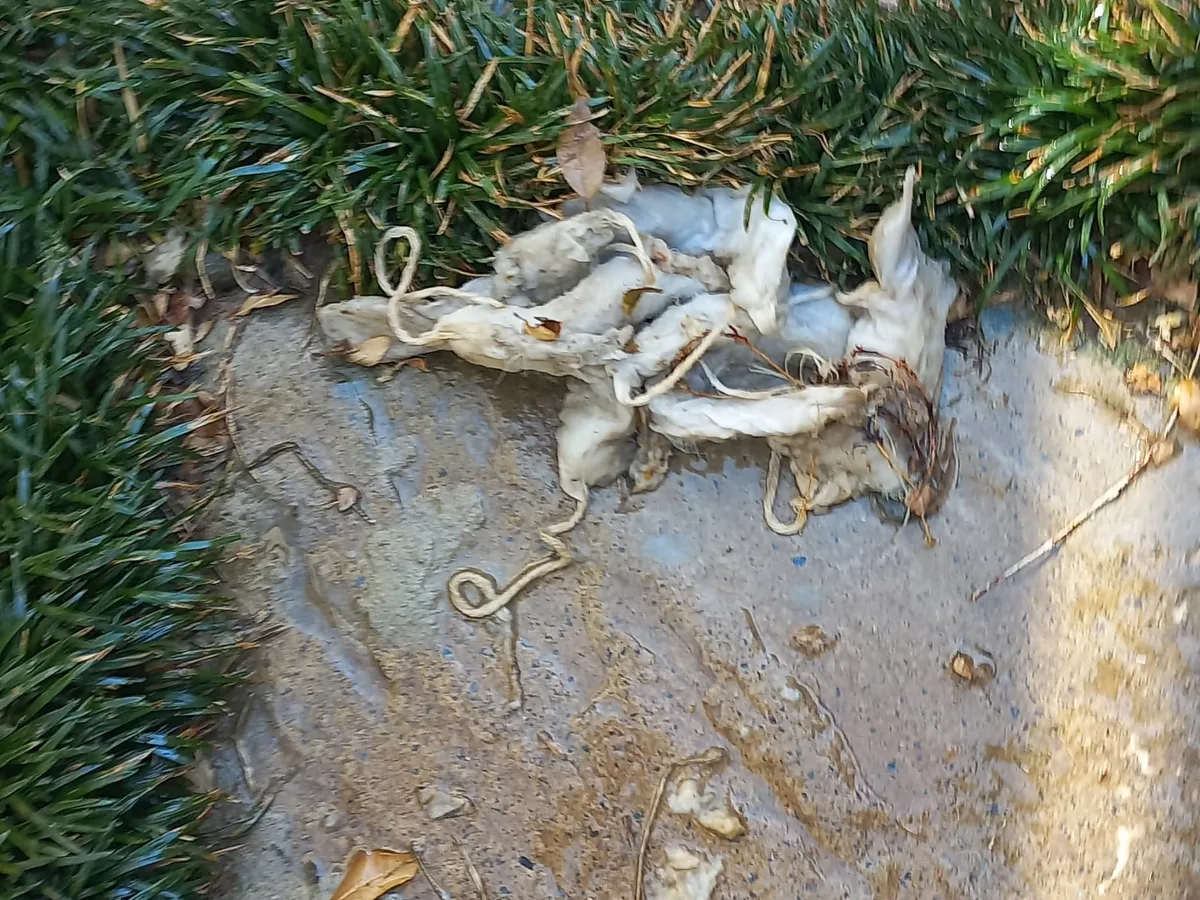 Close-up of completed plumbing repair work