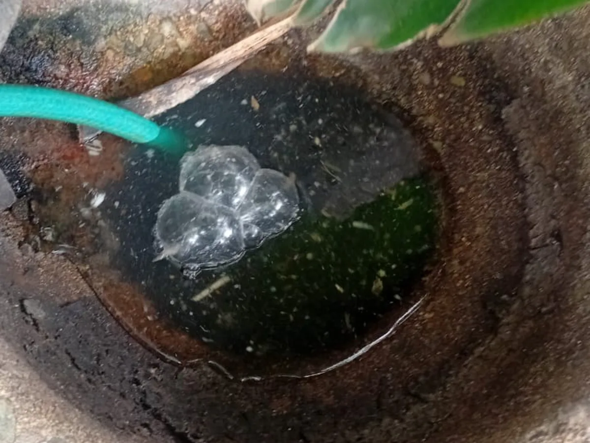 Close-up of completed plumbing repair work