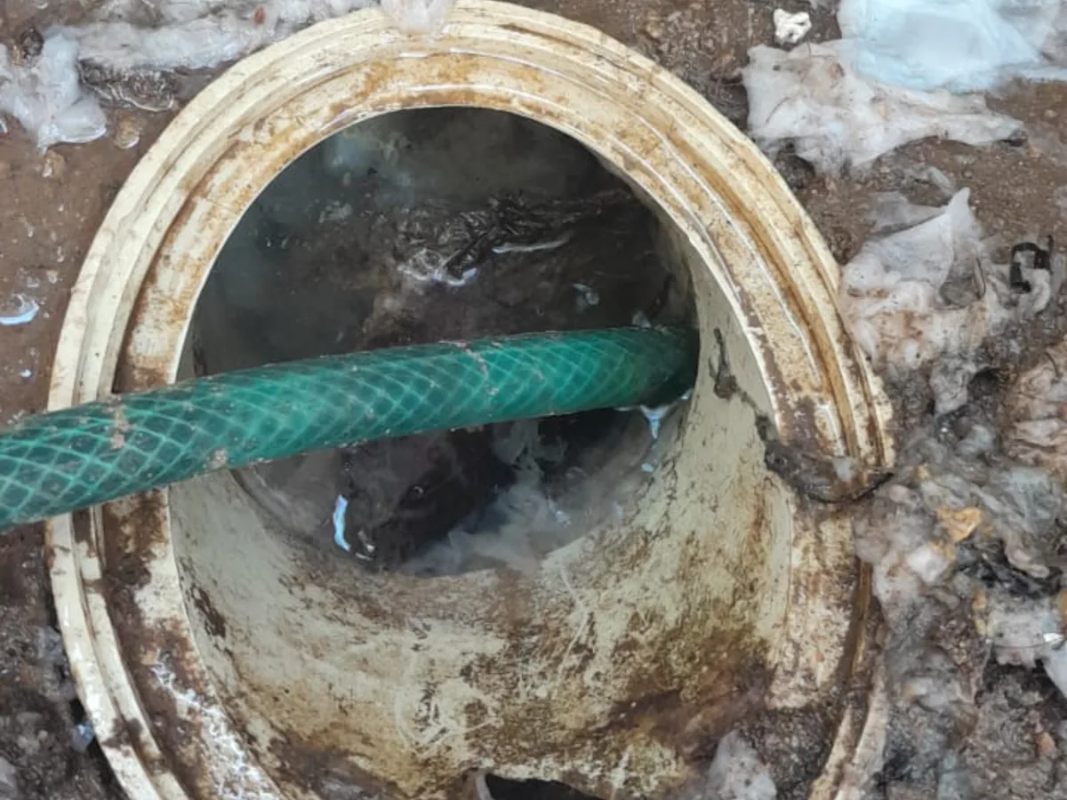 Close-up of completed plumbing repair work