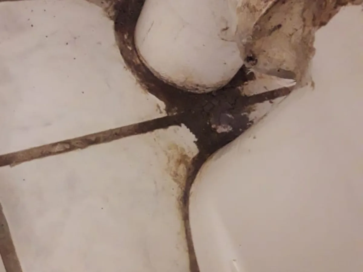 Close-up of completed plumbing repair work