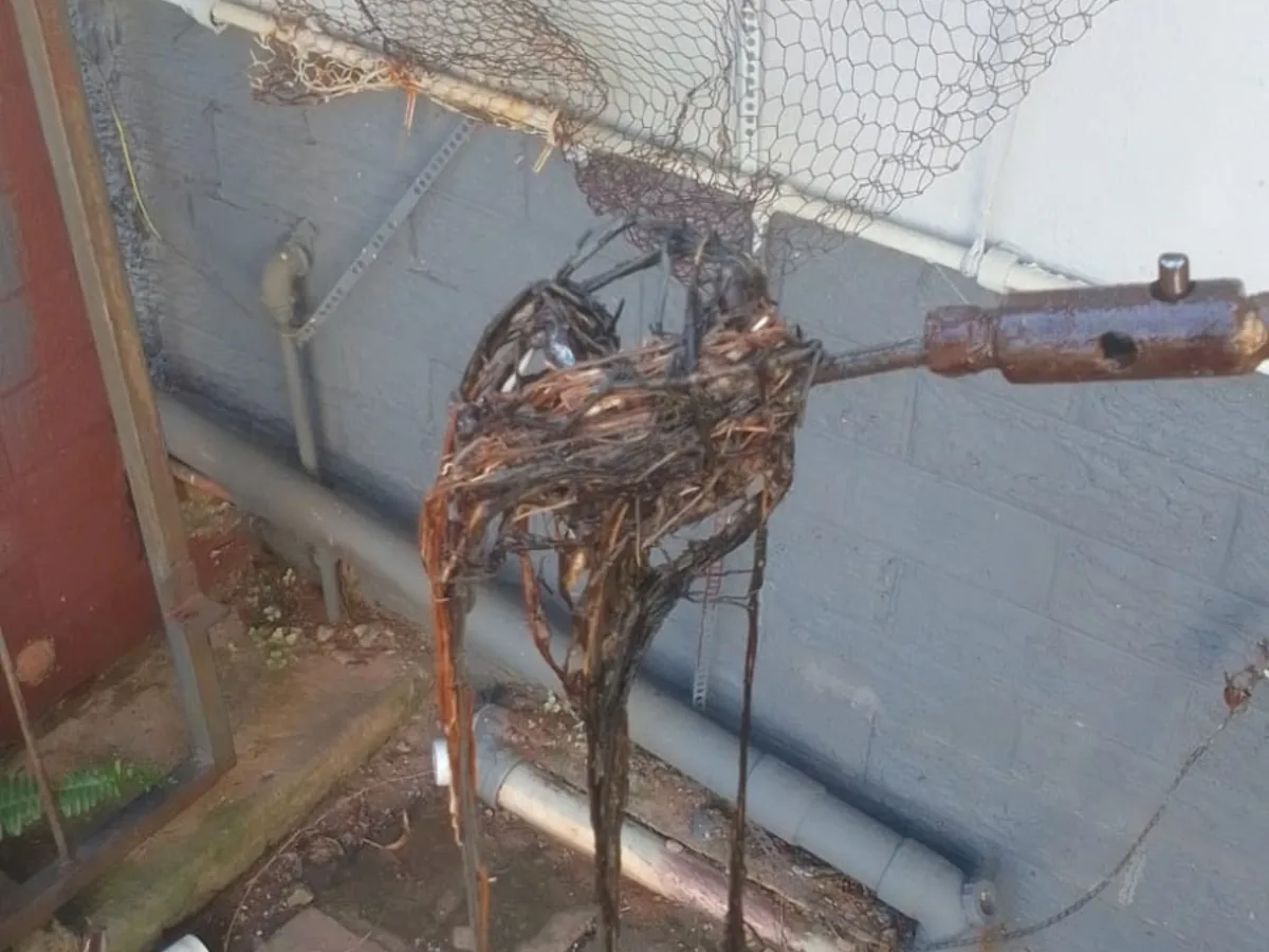 Close-up of completed plumbing repair work