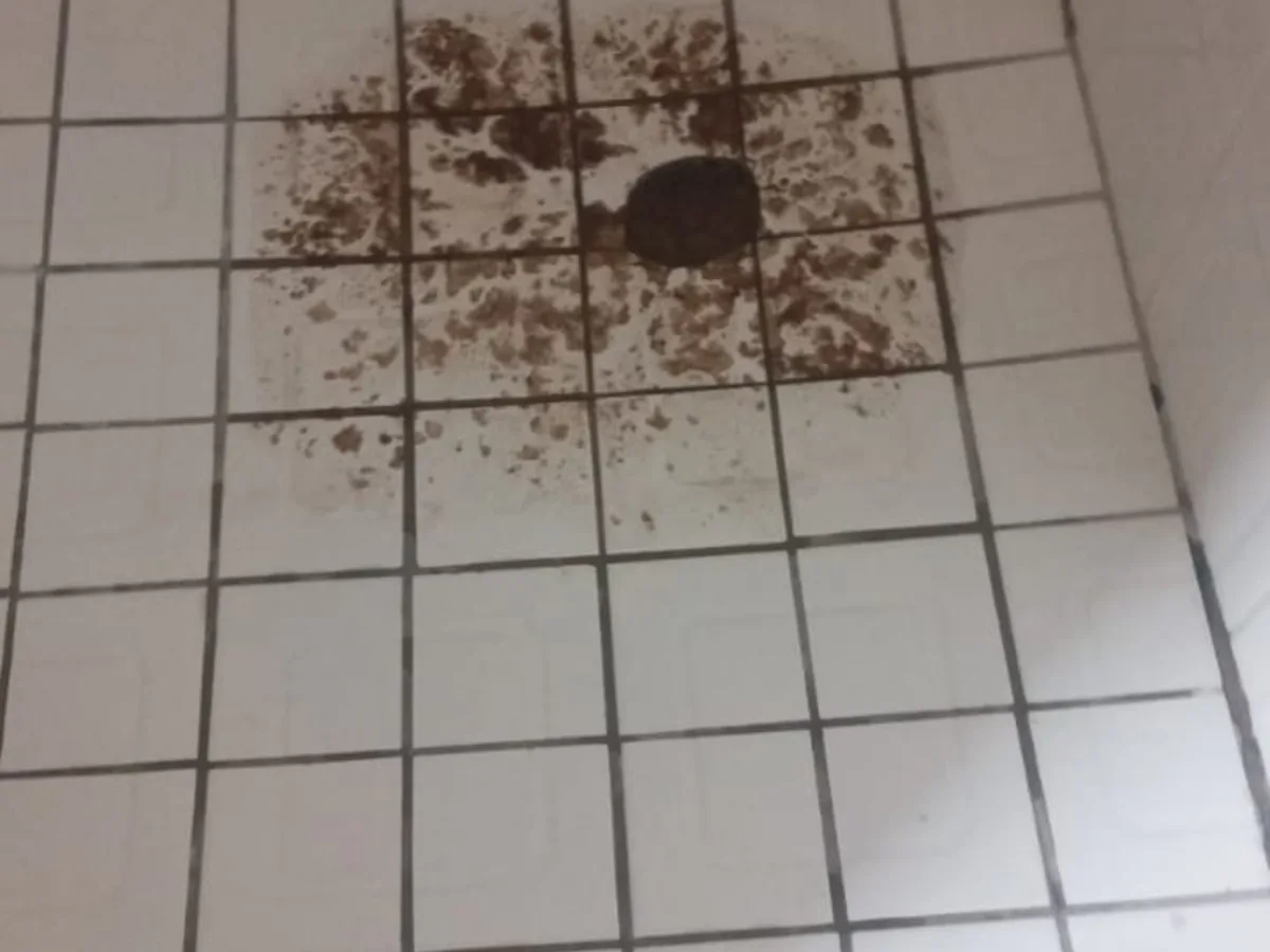 Close-up of completed plumbing repair work