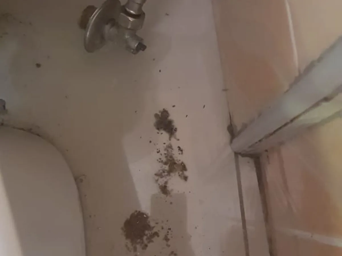 Close-up of completed plumbing repair work