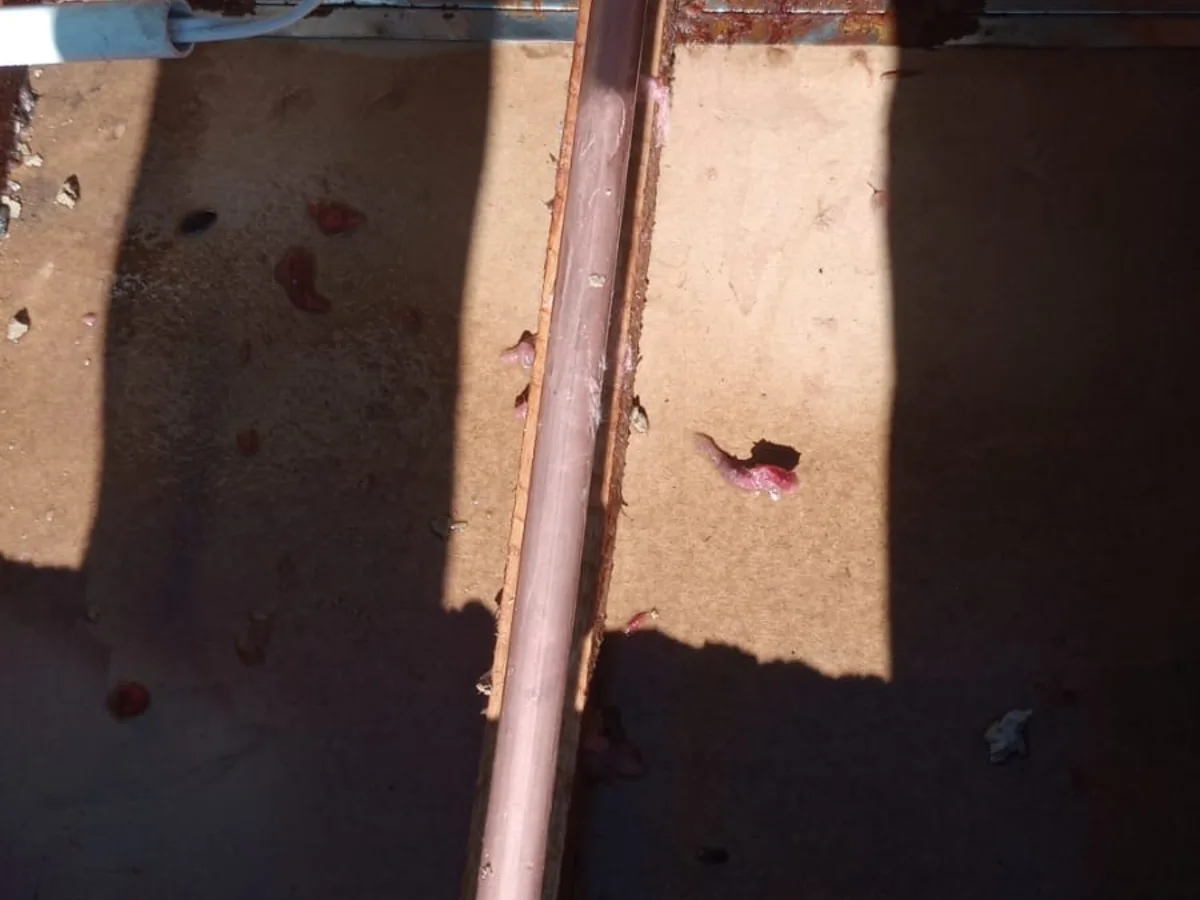 Close-up of completed plumbing repair work