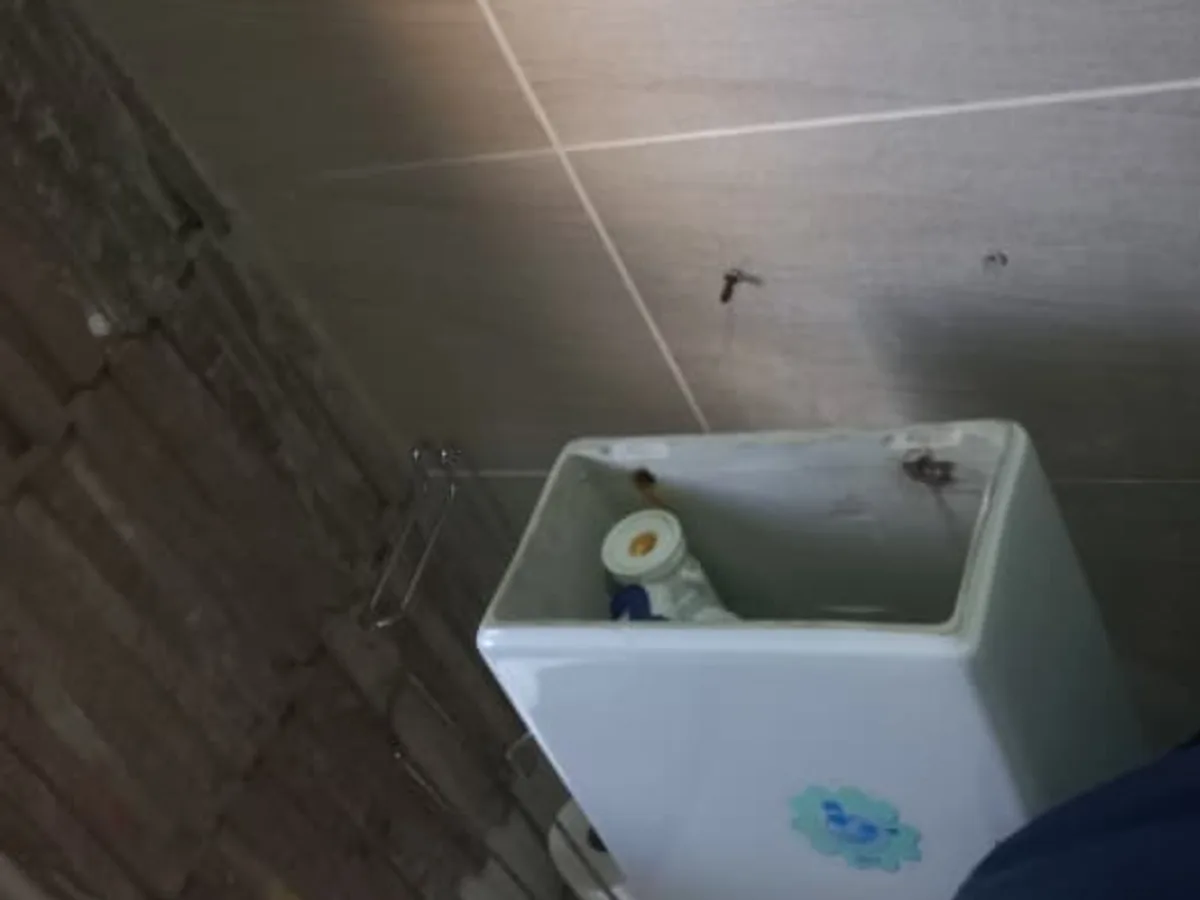 Close-up of completed plumbing repair work