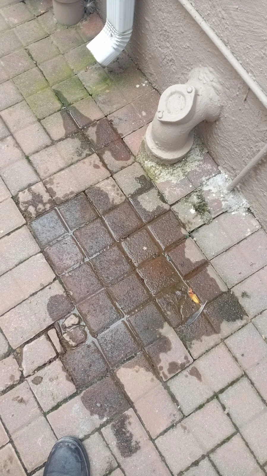 Close-up of completed plumbing repair work