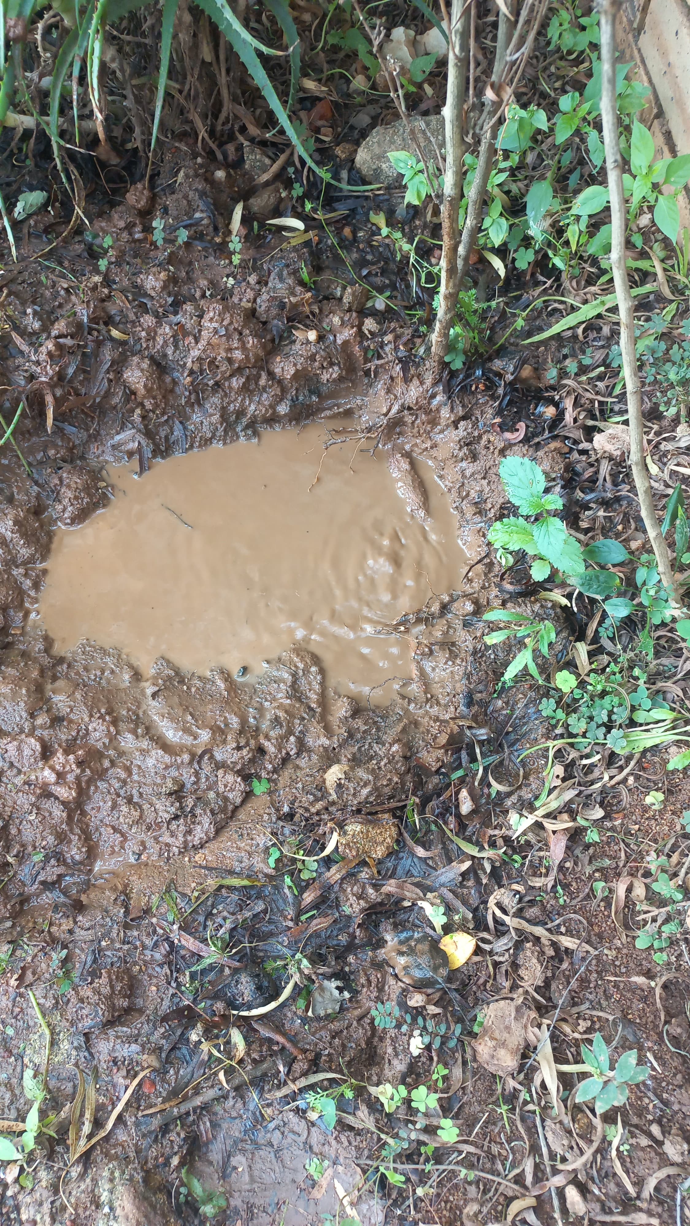 Cowies Hill plumber working in Durban / eThekwini, KwaZulu-Natal