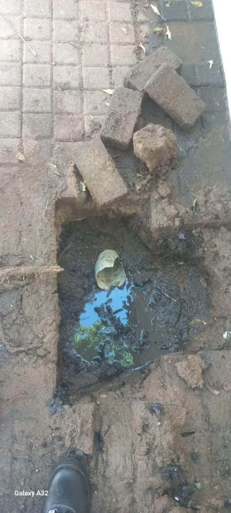 Pinelands plumber working in Cape Town, Western Cape