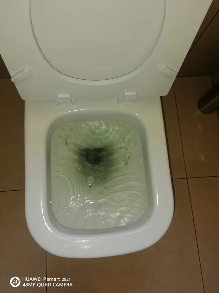 Blocked Toilet Plumbers | Plumbers Near Me Blocked toilet plumber clearing a toilet bowl with visible water movement