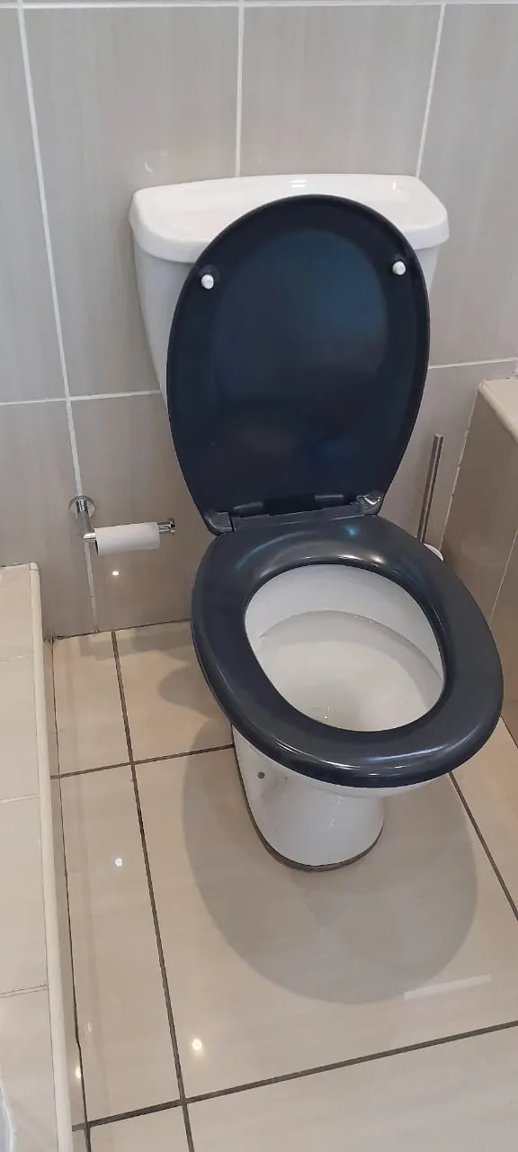 Common Items That Cause Toilet Blockages Toilet bowl close up showing water remaining in the pan after a blockage