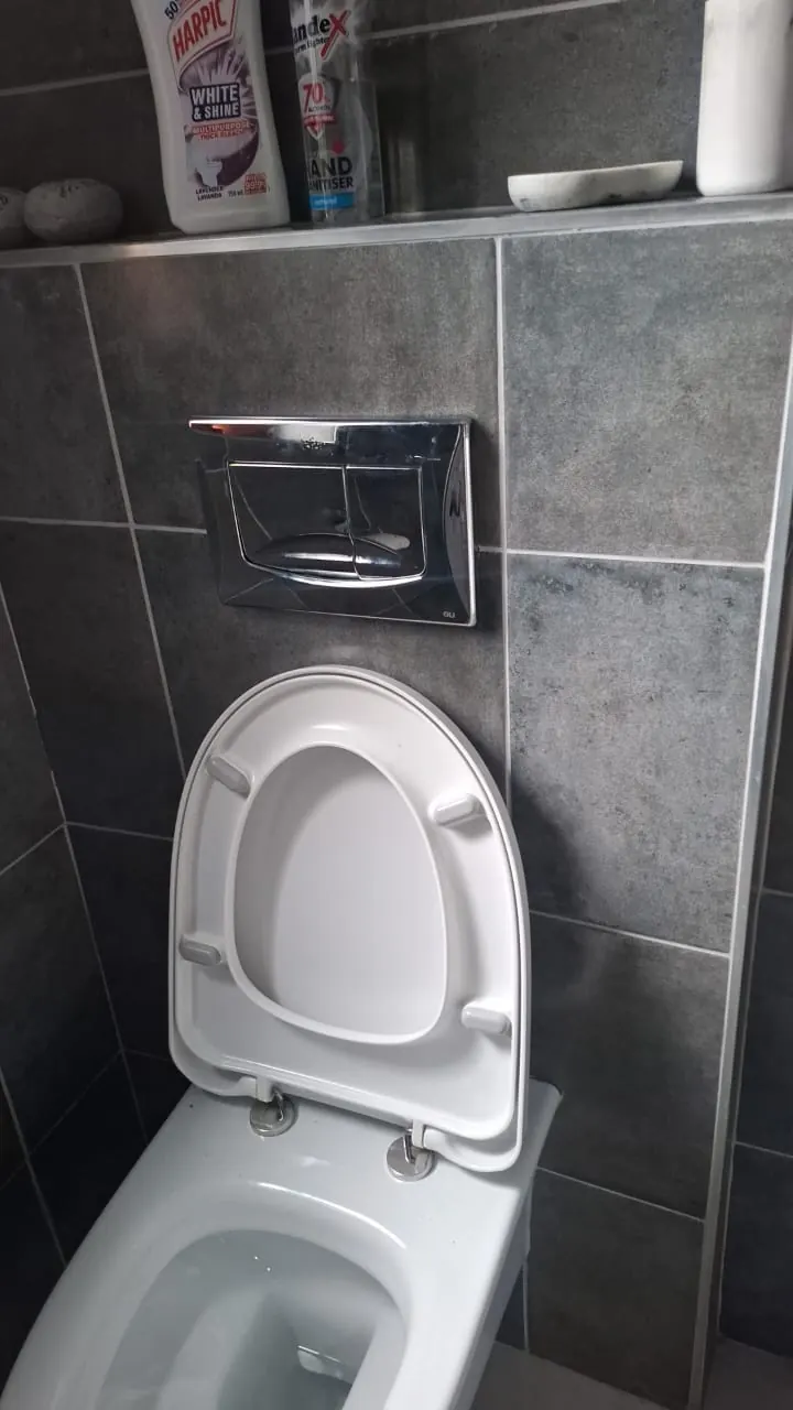 What To Do Before The Plumber Arrives Toilet in a bathroom where the water level should be left alone before the plumber arrives