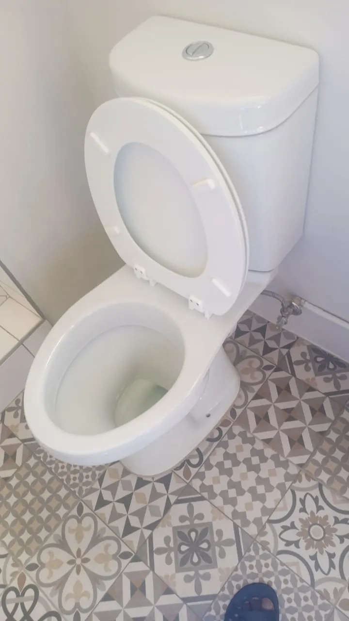 Why Toilets Block And Why The Cause Matters Clean toilet showing the fixture where a blockage can start inside the pan or waste line