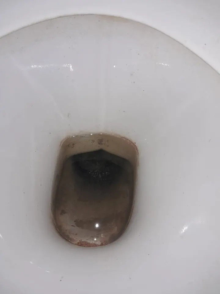 Close view of a white toilet bowl with water sitting low in the trap