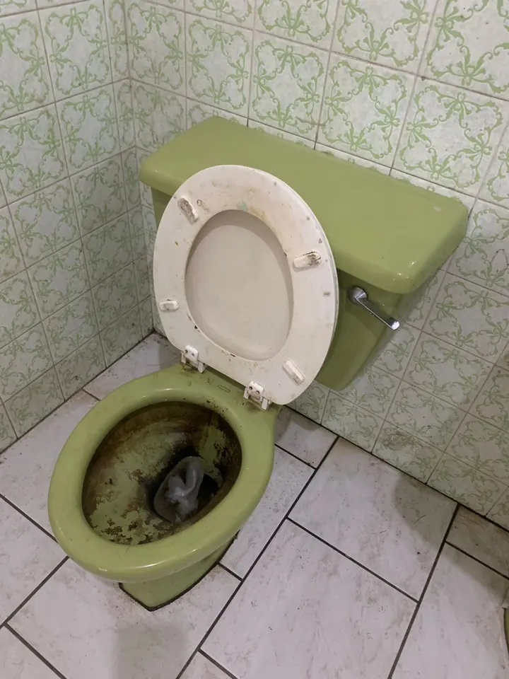 Older green toilet with visible blockage and dirty water in the pan