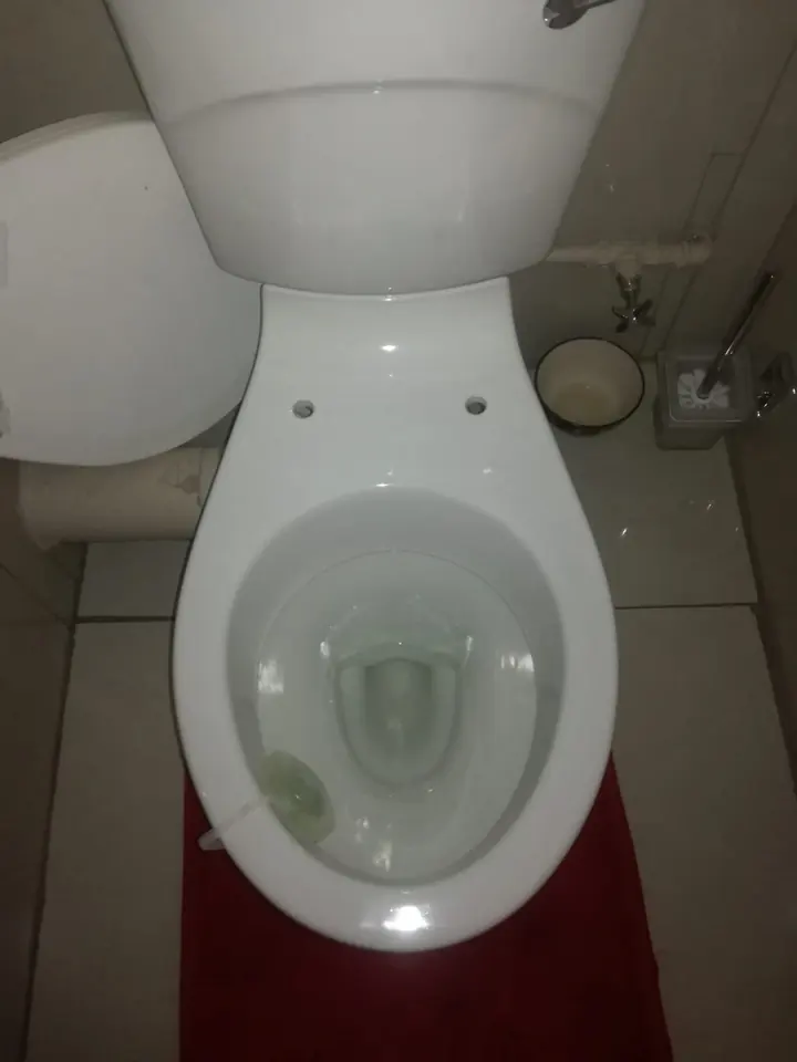 Toilet bowl containing discoloured water after a blockage