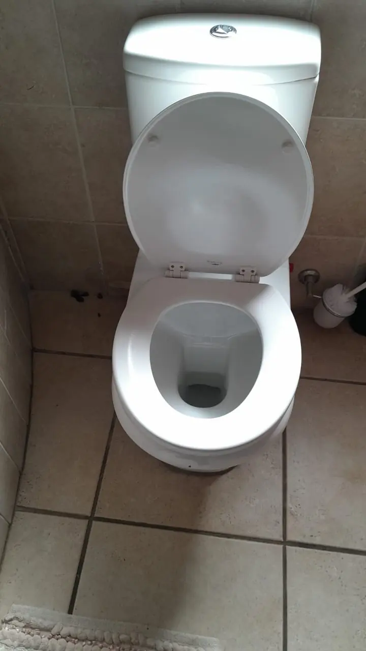 Plastic toilet freshener holder removed near a toilet bowl