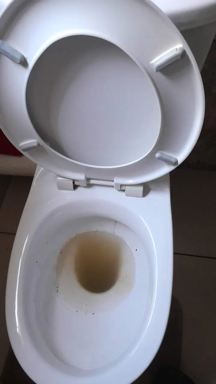 White toilet with seat removed for pan access