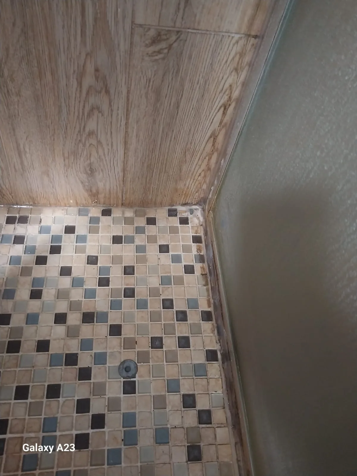 Shower floor drain and stained tiles during blocked shower cleaning