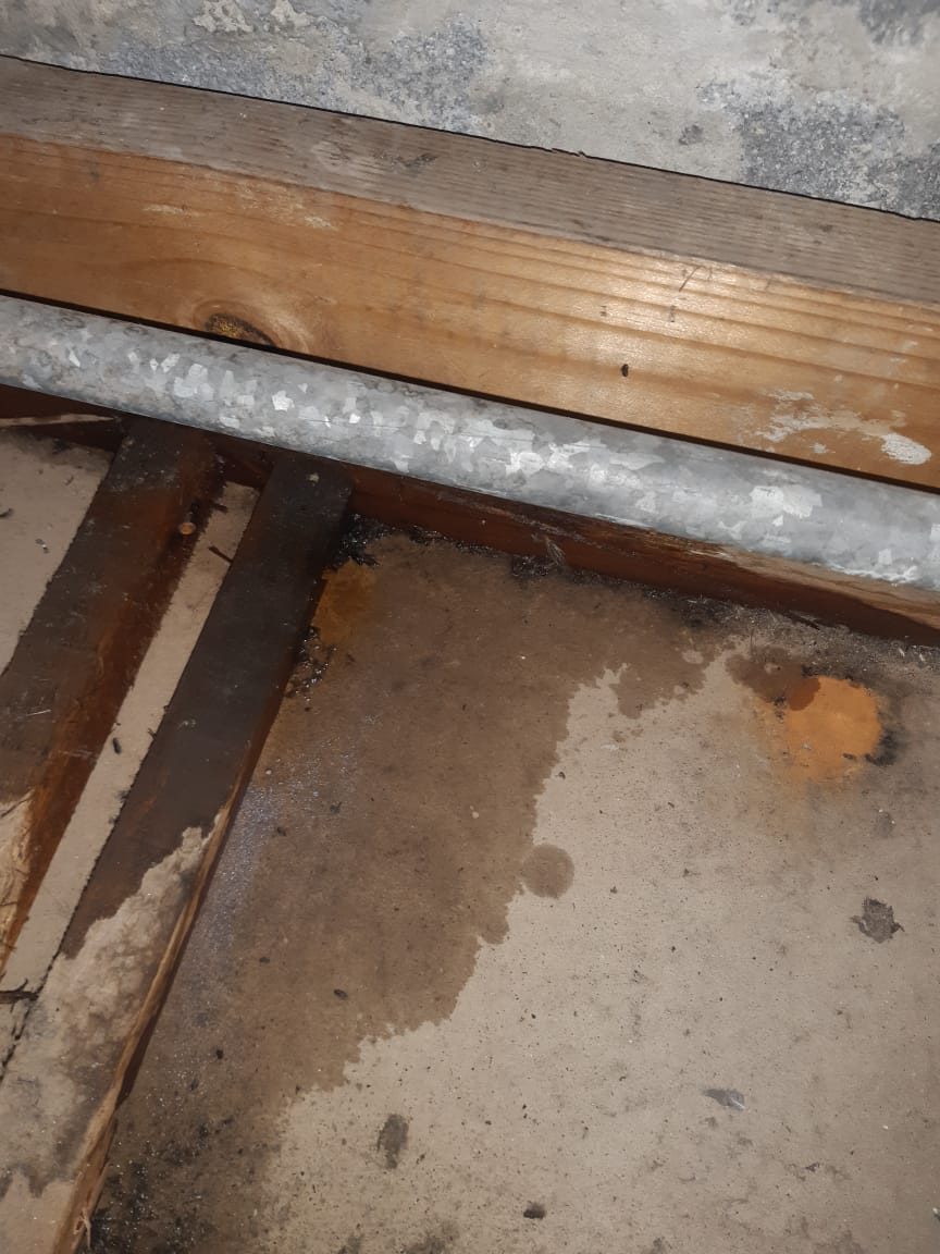Burst pipe emergency repair scene showing active plumbing damage in Waterkloof Park