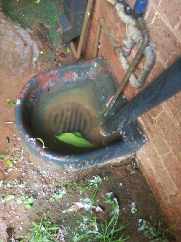 Emergency drain cleaning at an outdoor gully in Waterkloof Park