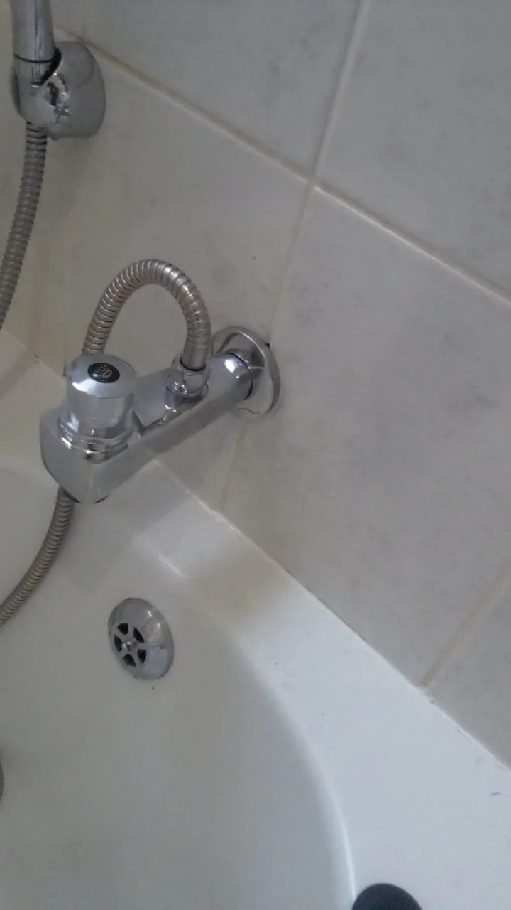 Bath mixer tap inspected and repaired