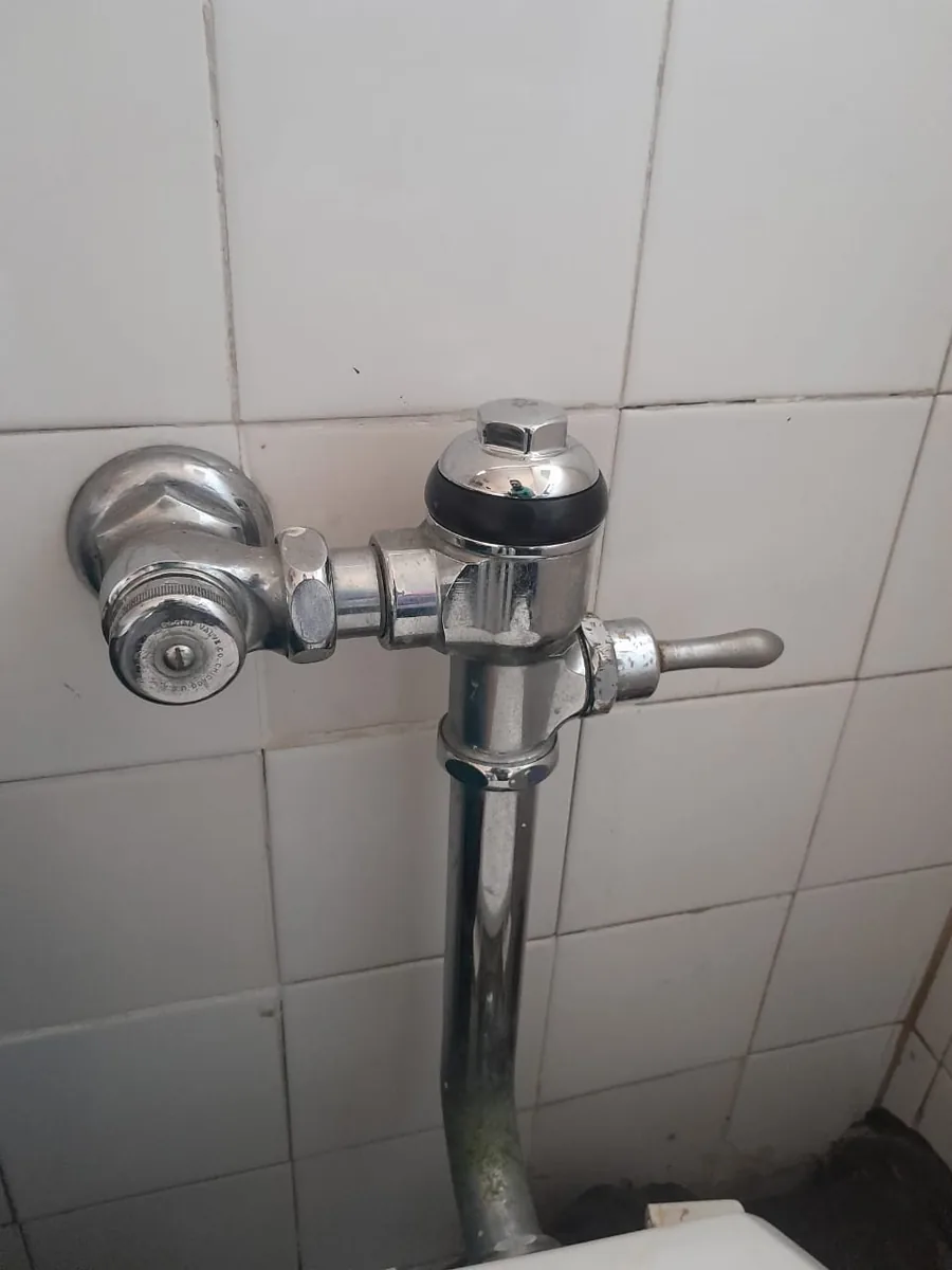 Toilet flush valve inspected and repaired