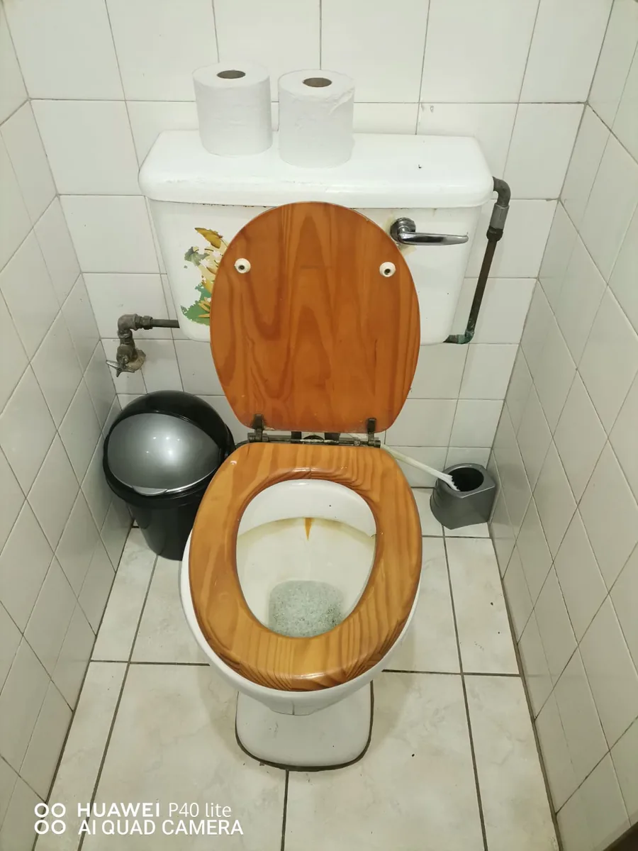 Older toilet showing drainage restriction symptoms