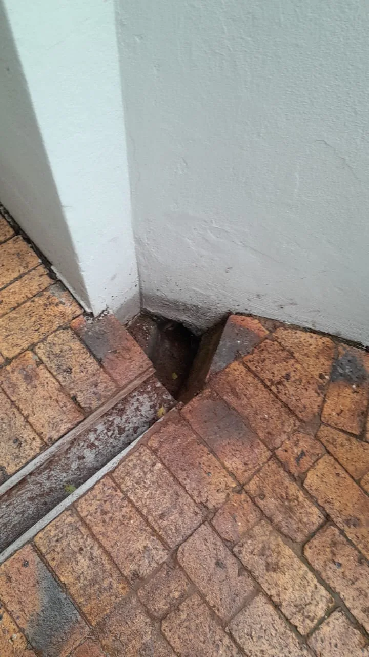 Stormwater gully opening near paving and wall requiring drainage inspection
