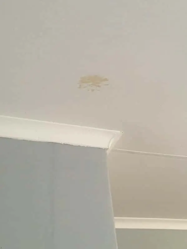 Ceiling dampness below a geyser Brown damp mark on a ceiling below a suspected geyser leak