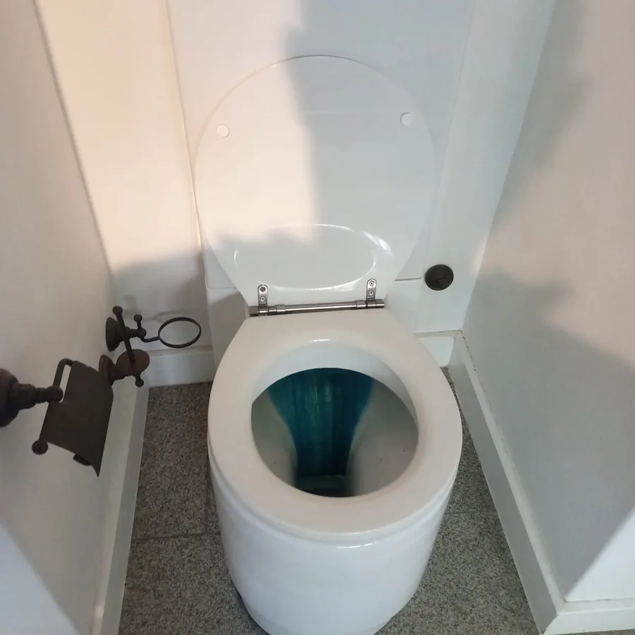 Emergency Toilet Repair toilet plumbing service image
