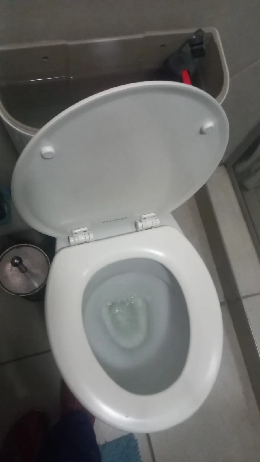 Overflowing Toilet Emergencies toilet repair service image