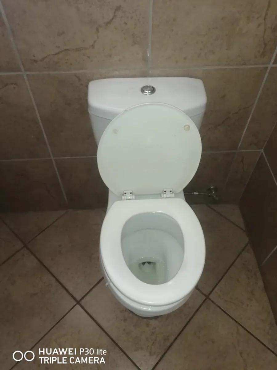 Weak Flush And Poor Flushing toilet repair service image